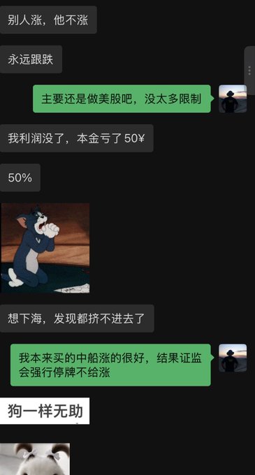 A screenshot of a WeChat-style chat conversation in Chinese where someone complains about losing 50¥ in the A-share market ("永远跟跌", "我利润没了，本盆亏了50¥") and that trading halted before prices rose ("证监会强行停牌不给涨"), expressing helplessness with Tom cat and dog memes, illustrating the broader market crash affecting retail investors beyond just crypto.