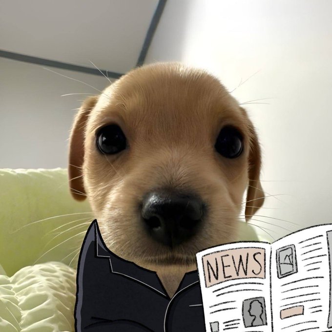 A close-up photo of an adorable tan puppy with big dark eyes, digitally edited to appear as if it's wearing pajamas and reading a newspaper with 'NEWS' visible on the front page.