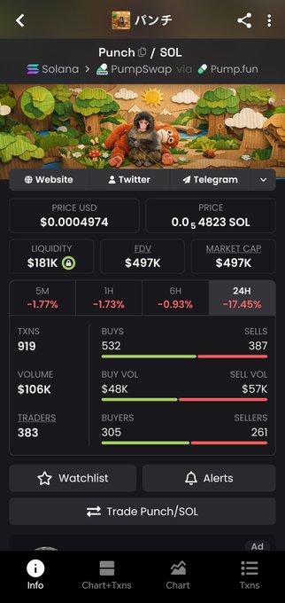 A cryptocurrency tracking app showing the 'Punch/SOL' token price at $0.0004974 (0.00004823 SOL) with a market cap of $497K and 17.45% drop in 24H.