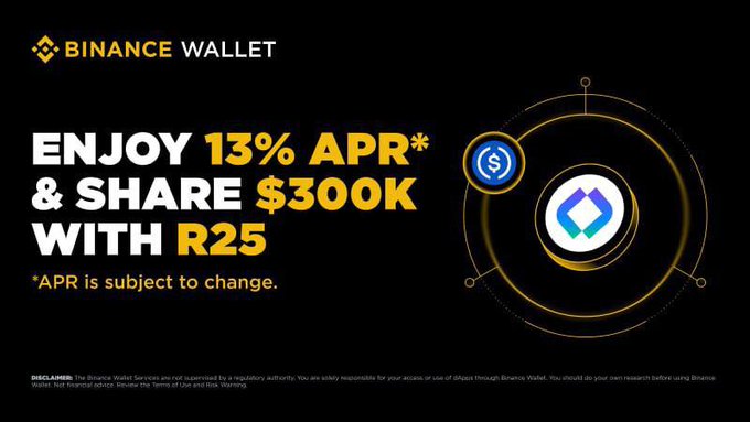 A Binance Wallet promotional advertisement on a black background offering '13% APR* & SHARE $300 WITH R25', noting '*APR is subject to change' and featuring the Binance Wallet logo with a gold coin graphic.