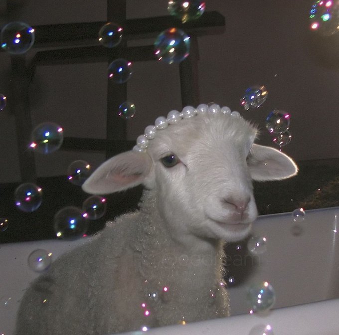 A white lamb adorned with a pearl headband sits in a bathtub surrounded by iridescent soap bubbles, featuring a watermark that reads 'hoodie', which likely indicates the model used to generate the image.
