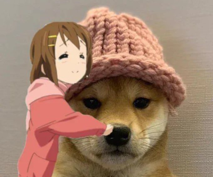 A small anime girl with brown hair in a pink outfit appears to hug a Shiba Inu dog wearing a pink knitted beanie.