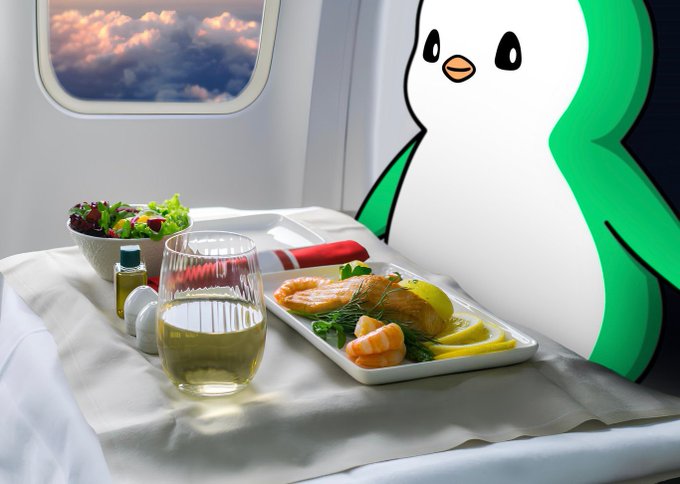 A first-class airline meal featuring salmon, salad, and white wine, accompanied by a large green and white duck character pillow by the window showing clouds.