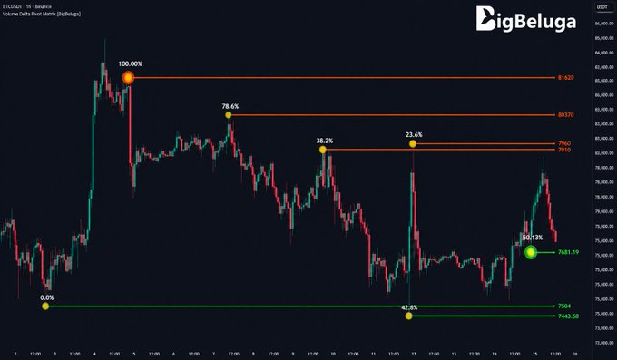 A BTC/USDT candlestick chart on BigBeluga showing volume delta and pivot points, marking the 100% top at $81,830 with Fibonacci retracement levels (78.6% at $80,570, 38.2% at $79,902, 23.6% at $79,902, 50% at $79,900) and a 47.2% low at $74,063.58.