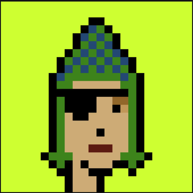 A pixel art portrait of a person with black hair wearing a green and blue checkered pointed hat, set against a bright green background.