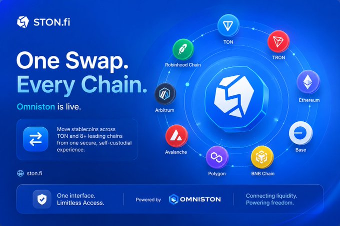 A promotional graphic for STON.fi advertising "One Swap. Every Chain." featuring a circular arrangement of cryptocurrency network logos including TON, Robinhood Chain, TRON, Ethereum, Base, BNB Chain, Polygon, Avalanche, and Arbitrum.