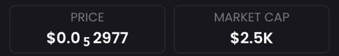 A dark-themed crypto tracking display showing a 'PRICE' of $0.0₅2977 and a 'MARKET CAP' of $2.5K.