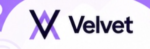 The image displays a stylized "Velvet" logo featuring a large purple "V" alongside the word "velvet" in dark text against a white background with purple accents. This branding relates to the post's discussion of Velvet Capital, a platform that extends beyond being just a trading terminal by offering non-custodial vault creation for on-chain asset management.