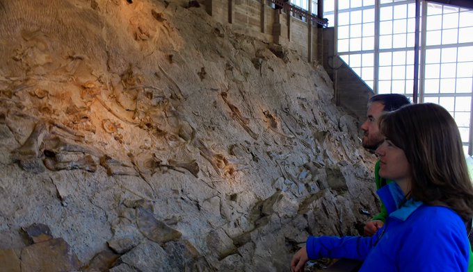Two visitors in blue jackets observe a large rock wall containing numerous fossils inside a museum or exhibition hall.