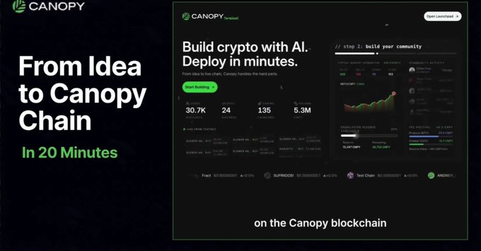 A landing page for 'CANOPY' advertising 'From Idea to Canopy Chain in 20 Minutes' with stats like 30.7K users and 5.3M $CDPY.