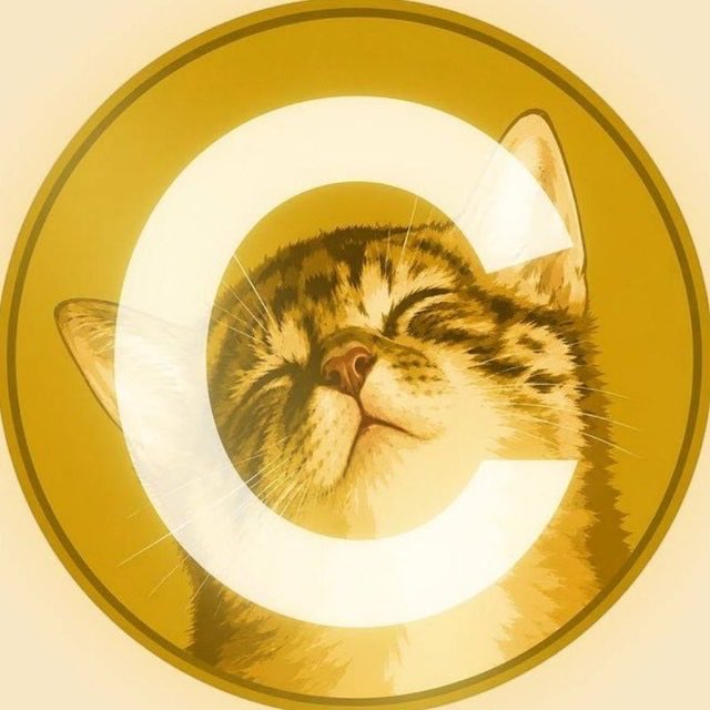 A content cat with closed eyes and a serene expression, set against a gold background and encased within a large "C" letter, visually representing the $CATE token referenced in the accompanying bullish meme post.