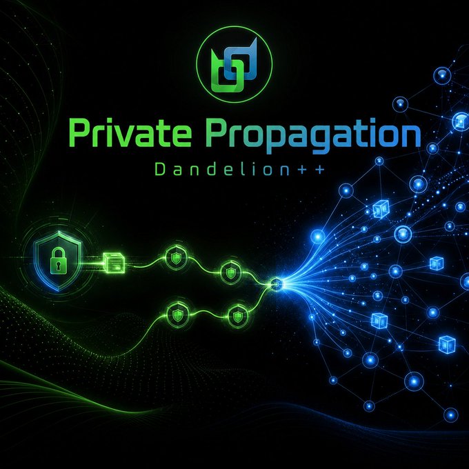 A digital graphic reading 'Private Propagation' and 'Dandelion++' featuring a logo, a shield, and a glowing blue network illustration.