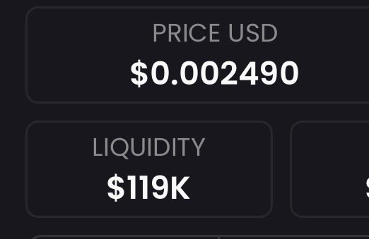 A dark-themed interface displays financial metrics: a 'PRICE USD' of '$0.002490' and 'LIQUIDITY' of '$119K'.