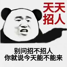 A popular Chinese "biaoqing" meme featuring a panda-headed man pointing, with the text "天天招人" (recruiting daily) and "别问招不招人，你就说今天能不能来" (Don't ask if we're hiring, just say if you can come today), humorously matching the post's joke about Binance Square's recruitment drive and the author's self-deprecating reflection that they meet the criteria but their poor social skills likely disqualify them.