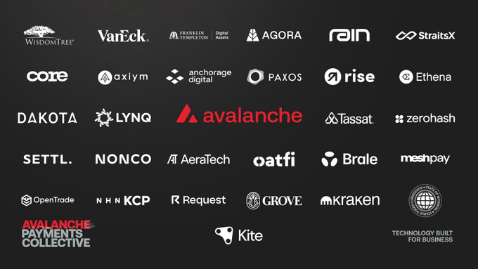 A black background displaying numerous white company logos arranged in a grid, prominently featuring 'avalanche' in red in the center, along with 'Avalanche Payments Collective' in the bottom left corner.