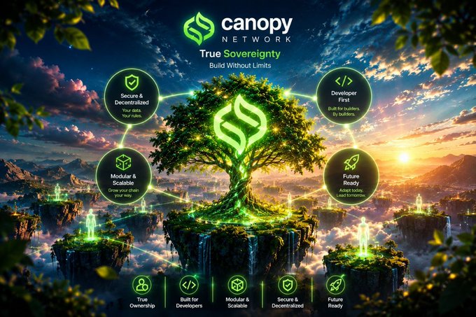 A promotional graphic for **Canopy Network (CNPYNetwork)** showcases a glowing green tree on a floating island, symbolizing the tagline **"True Sovereignty – Build Without Limits."** Surrounding the tree are icons highlighting key features: **Secure & Decentralized, Developer First, Modular & Scalable, Future Ready,** and **True Ownership**, visually reinforcing the post's message about Web3 projects achieving autonomy through Canopy's infrastructure.