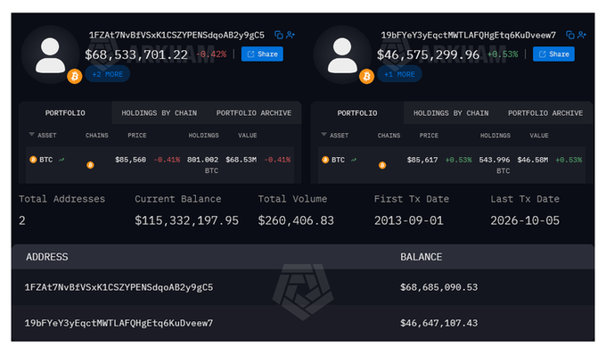A blockchain portfolio tracker displaying two Bitcoin addresses with combined holdings of $115,332,197.95, showing the addresses 1FZAt7iKBiVSxK1CSZYPENSdqAB2y9gC5 and 19bFYeY3yEqcTMWTLAFQHgEtq6KuDveew7 with balances of approximately $68.68M and $46.65M respectively.