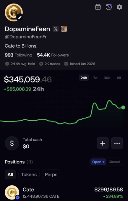 A screenshot of a trading profile for "DopamineFeen" (@DopamineFeenFr) displaying a portfolio value of $345,059.46 (+$85,808.39 in 24h) with a bio reading "Cate to Billions!" and showing a top position of 12,448,907.36 CATE tokens worth $299,189.58 (▲234.89%), supporting the post's call for $CATE holders to make their presence visible on the timeline.
