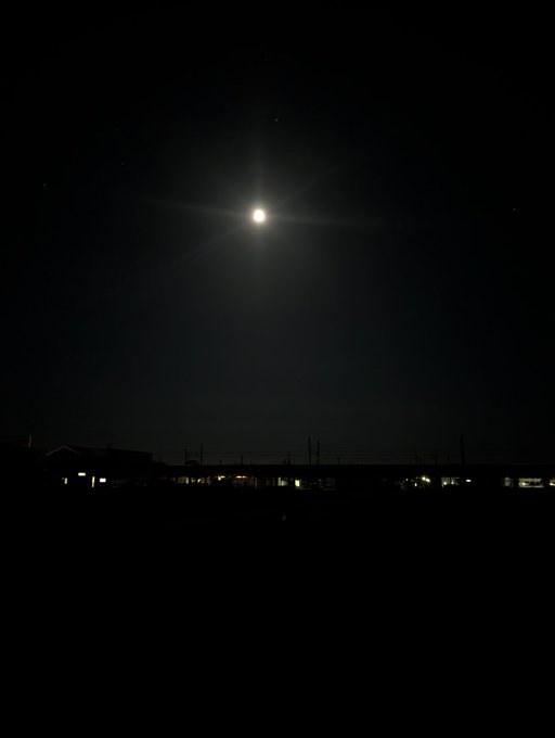 The image shows a full moon shining brightly against a dark sky, with houses visible in the background. The caption of the image reads "月と歩く #stepn", which translates to "Step by step". This phrase suggests that the photo was taken during a nighttime walk or stroll through the area, capturing the beauty and tranquility of the full moon illuminating the surroundings.