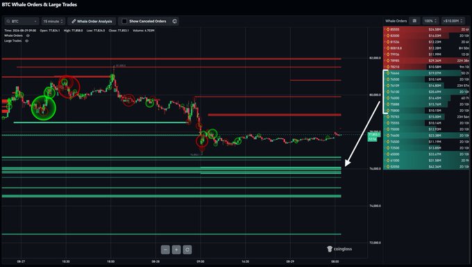 A BTC whale orders trading chart on the 15-minute timeframe displays "Whale Orders Analysis" and "Show Cancelled Orders," highlighting with green circles key areas on the BTC/USDT (Binance) price action and showing the Whale Orders panel on the right with over $193,820 of bid support stacked heavily between approximately $76,000 and $77,500, matching the post's claim of "Over $100m in limit longs at ~76k."