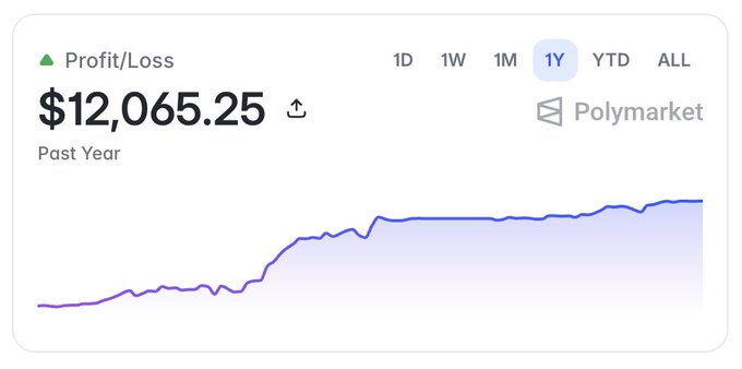 A financial chart showing a Profit/Loss of $12,065.25 on Polymarket over the Past Year (1Y), displaying an upward line graph.