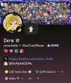 A small, blurry screenshot of a social media profile, possibly Roblox, with the username 'Zora' and a yellow avatar.