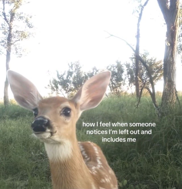A close-up of an adorable baby deer (fawn) with large ears and big eyes staring at the camera, with overlaid text reading "how I feel when someone notices I'm left out and includes me" — perfectly matching the emotional "🥹" (touching/heart-melting) reaction to being thoughtfully included by someone.