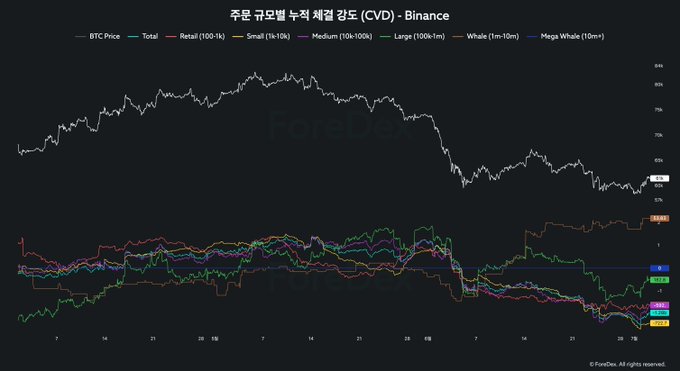 The image is a chart from ForeDex showing Binance's Cumulative Volume Delta (CVD) segmented by order size against Bitcoin's price. It displays BTC Price alongside Retail, Small, Medium, Large, Whale, and Mega Whale categories, with the bottom panel showing that Mega Whales (10m+) have been steadily accumulating via taker buy orders even as BTC dropped below $60k, contrasting with the selling pressure visible from other groups.