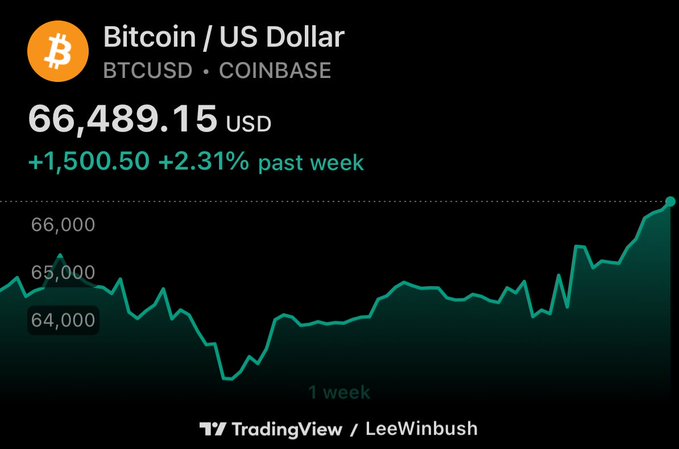 A TradingView Bitcoin/USD chart showing BTCUSD at $66,489.15 on Coinbase, up +$1,500.50 (+2.31%) over the past week.