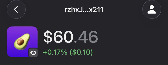 A mobile app screen displays the username 'rzhxJ...x211' with a purple avocado icon, a balance of $60.46, and a gain of +0.17% ($0.10).