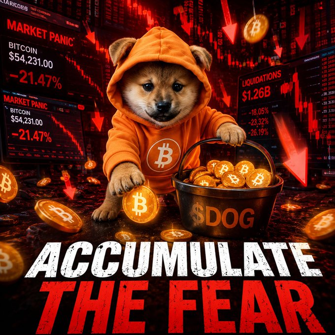 A digital artwork featuring a puppy in an orange Bitcoin hoodie with a basket of $DOG coins, surrounded by red market panic charts showing Bitcoin at $54,231.00 down -21.47% and liquidations of $1.26B, with the text 'ACCUMULATE THE FEAR'.