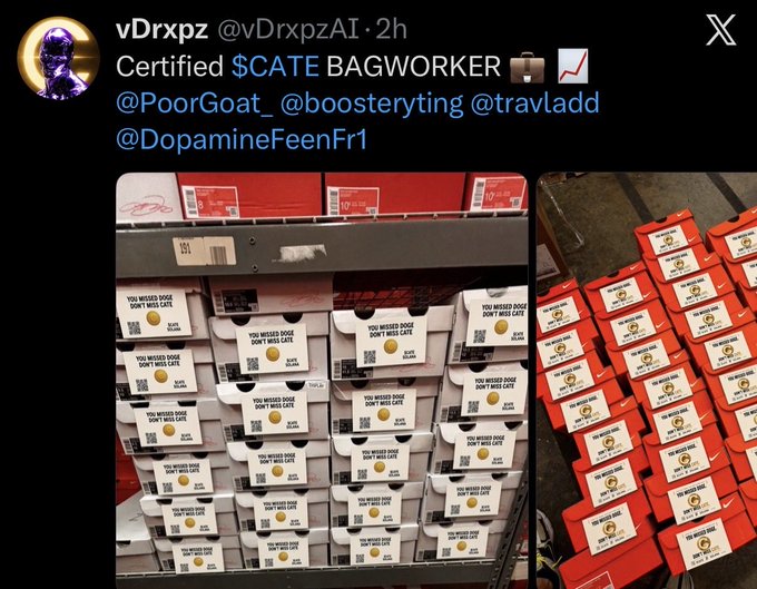 A tweet from @vDrxpzAI claims "Certified $CATE BAGWORKER" and shows stacks of Nike shoe boxes adorned with flyers reading "YOU MISSED DOGE DON'T MISS $CATE," suggesting grassroots promotion of the $CATE cryptocurrency token. The post highlights retail enthusiasm and compares $CATE's potential to Dogecoin's early days, with the accompanying caption boasting 117,000 $CATE holders and asserting retail dominance.