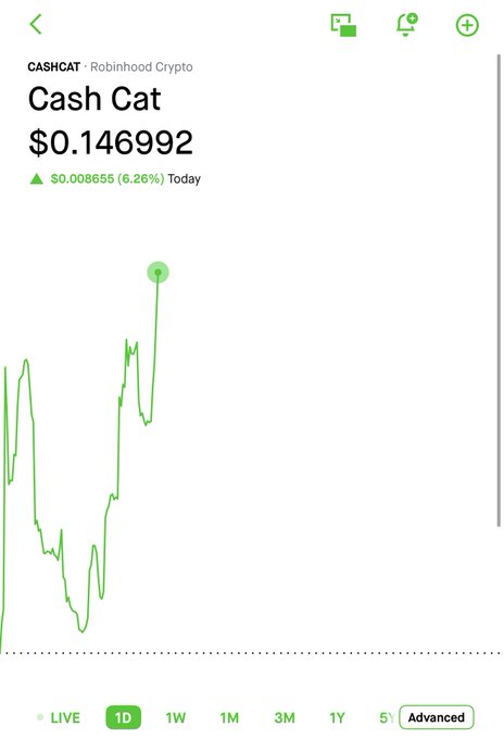 Robinhood Crypto app screen showing Cash Cat (CASHCAT) priced at $0.146992, up $0.008655 (6.26%) for the day, with a green intraday line chart on a 1D timeframe.