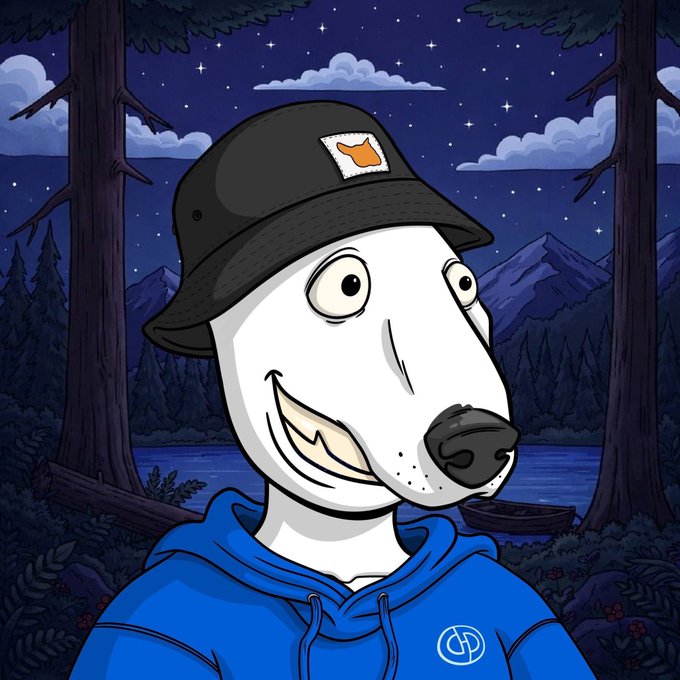 A cartoon white dog with a wide grin wearing a black Carhartt-style bucket hat and a blue hoodie, set against a nighttime forest and lake background.