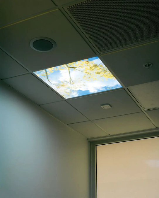 An interior shot looks up at a drop ceiling featuring a square panel that displays an image or video of tree branches and blue sky, alongside a standard ventilation grate.