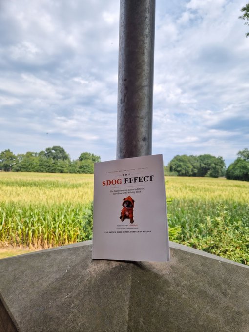 A copy of "The $DOG Effect" booklet stands displayed at the base of a flagpole in a rural field, symbolizing the cryptocurrency's reach into one of Germany's smallest provinces. The accompanying text highlights this as a milestone moment in contemporary history, crediting collaborators and inviting broader participation.
