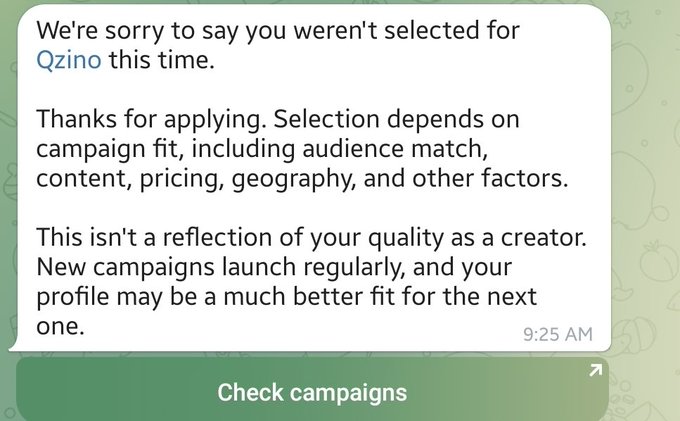 Rejection message from Qzino stating the user wasn't selected for the campaign, noting selection depends on audience match, content, and other factors.