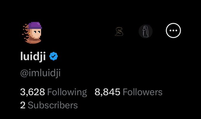 A social media profile page shows the username "luidji" (verified, @imluidji) with a pixel-art avatar, 3,628 Following, 8,845 Followers, and 2 Subscribers.