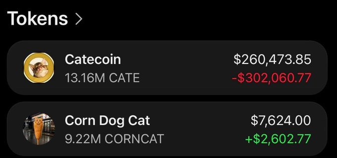 A crypto portfolio screenshot showing two meme token holdings: 13.16M CATE (Catecoin) valued at $260,473.85 with a -$302,060.77 loss, and 9.22M CORNCAT (Corn Dog Cat) valued at $7,624.00 with a +$2,602.77 gain, used to compare the early missed opportunity of Catecoin with the new Corn Dog Cat token the poster is promoting.