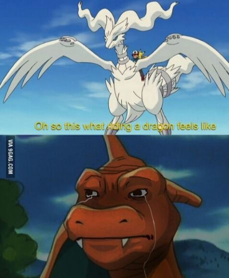 A two-panel anime meme featuring a white dragon and a crying orange dragon, with text reading 'Oh so this what riding a dragon feels like'.