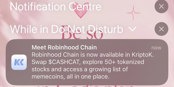 A mobile notification screen showing a Robinhood Chain ad for KriptoK, reading 'Robinhood Chain is now available in KriptoK. Swap $CASHCAT, explore 50+ tokenized stocks and access a growing list of memecoins, all in one place.'