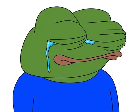 A cartoon illustration of a sad Pepe the Frog character with tears streaming down its face.
