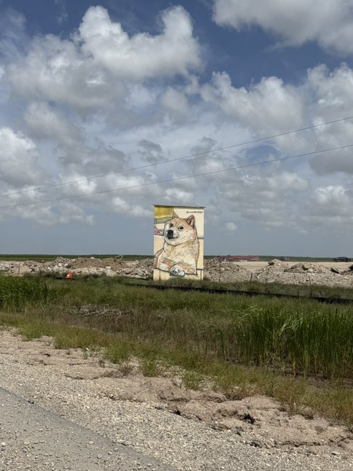 A photograph of a mural depicting a Shiba Inu dog (Doge) painted on a concrete pillar in an open grassy area under a partly cloudy sky.