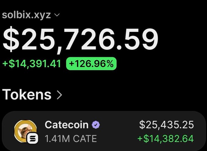 A crypto portfolio tracker screenshot from solbix.xyz showing a wallet worth $25,726.59 with a +126.96% gain (+$14,391.41), driven primarily by a position of 1.41M Catecoin (CATE) valued at $25,435.25, which aligns with the post's claim of over $14,000 in profit from a Catecoin investment.