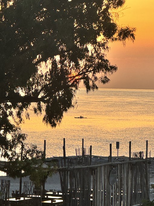 A lone kayaker paddles across a golden sunset sea, framed by silhouetted tree branches and rustic stick fencing in the foreground—perfectly capturing the peaceful "paddle into new opportunities" vibe. 🌅