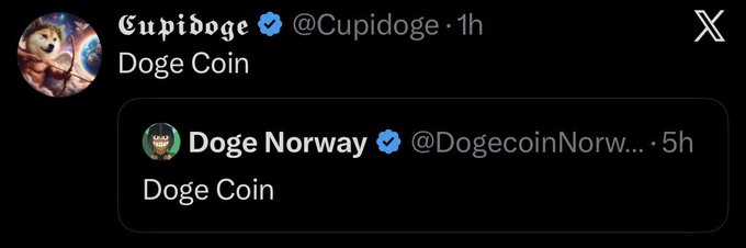 A Twitter/X post from verified account @Cupidoge simply reads 'Doge Coin', quoting another tweet from @DogecoinNorway that also says 'Doge Coin'.