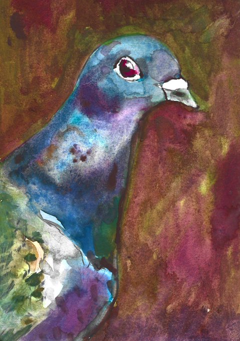 A watercolor painting of a pigeon with iridescent blue, purple, and green plumage, featuring a distinctive red eye and white beak, set against a textured warm brown and reddish background.