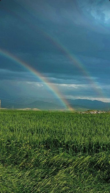 A scenic landscape photograph showing a vibrant double rainbow arching over a lush green field of crops with mountains visible in the distance under a partly cloudy sky.