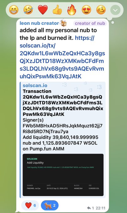 A chat message from 'leon nub creator' showing a Solana transaction where personal nub tokens were added to liquidity and burned, with Solscan transaction details visible.