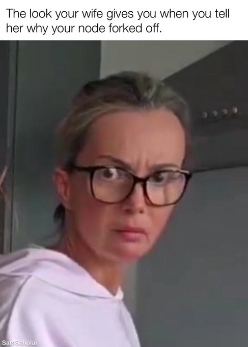 A meme featuring a skeptical-looking woman with glasses and a white hoodie, captioned "The look your wife gives you when you tell her why your node forked off," with a "SatScholar" watermark.